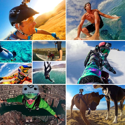 PULUZ กระเป๋าพกพากันน้ำและกระเป๋าเดินทางสำหรับ GoPro Hero11 Black / HERO10 Black / HERO9 Black / HERO8 Black / HERO7 / 6/5/5 เซสชัน / 4 เซสชัน / 4/3+ / 3/2/1, DJI Osmo Action และกล้องแอ็คชั่นอื่น ๆอุปกรณ์เสริม ขนาดใหญ่: 32cm x 22cm x 7cm               ...