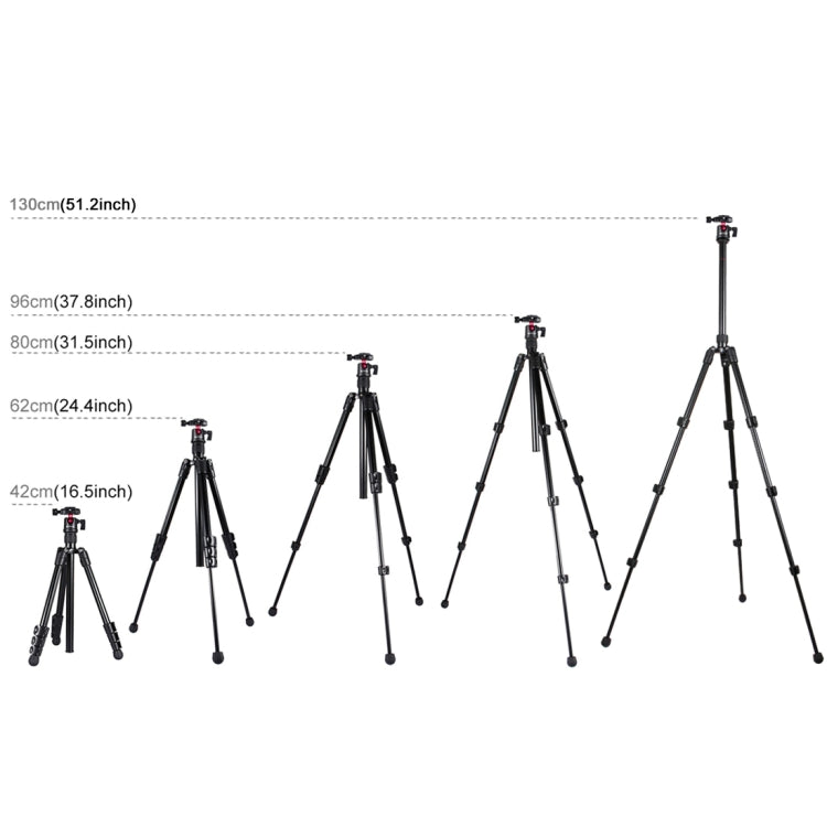 PULUZ ขาพับ 4 ส่วนขาตั้งกล้องโลหะพร้อมหัวบอล 360 องศาสำหรับกล้อง DSLR และกล้องดิจิตอลความสูงที่ปรับได้: 42-130 ซม., Adjustable Height: 42-130cm
