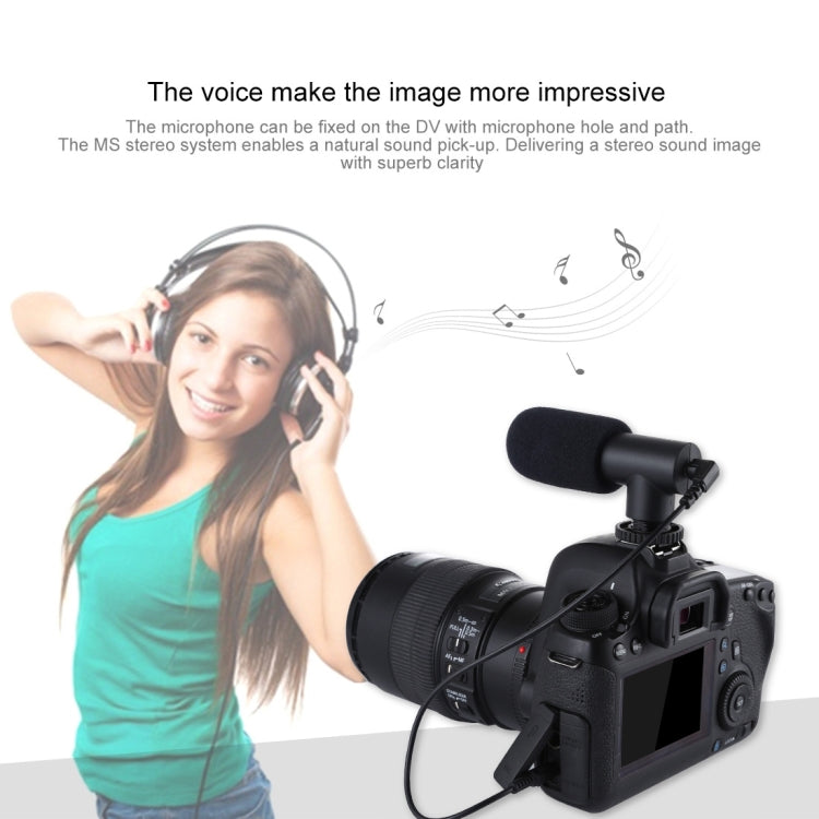 PULUZ 3.5 มม. บันทึกเสียงสเตอริโอ Vlogging ไมโครโฟนสัมภาษณ์มืออาชีพสำหรับกล้อง DSLR และ DV, สมาร์ทโฟน, Mini Microphone