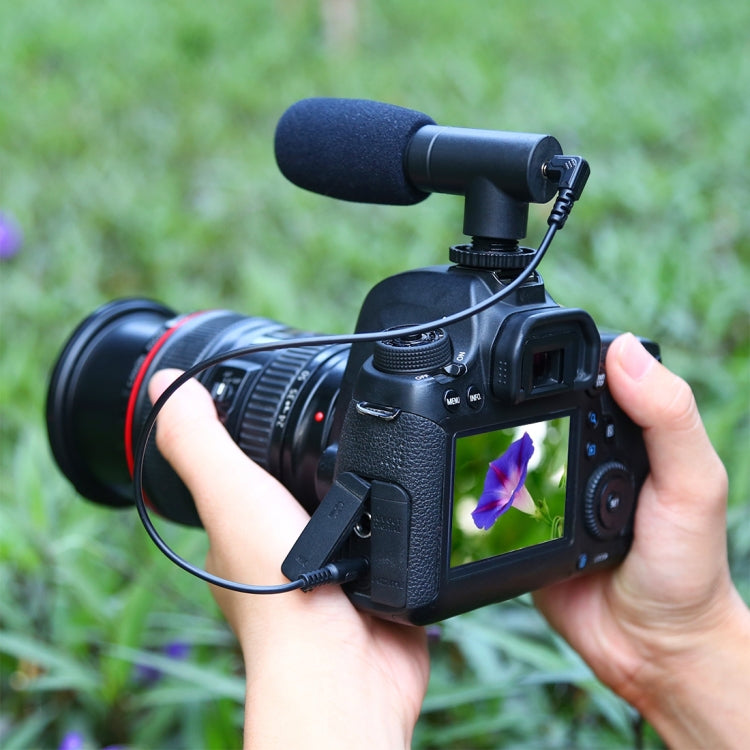 PULUZ 3.5 มม. บันทึกเสียงสเตอริโอ Vlogging ไมโครโฟนสัมภาษณ์มืออาชีพสำหรับกล้อง DSLR และ DV, สมาร์ทโฟน, Mini Microphone