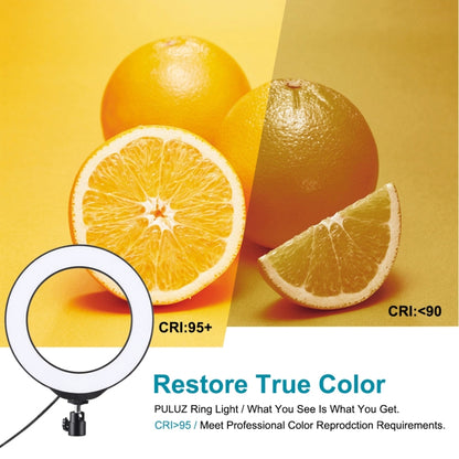 PULUZ 6.2 นิ้ว 16 ซม. USB RGBW หรี่แสงได้ LED แหวน Vlogging การถ่ายภาพไฟวิดีโอรองเท้าเย็นขาตั้งกล้องขาตั้งกล้อง & รีโมทคอนโทรล, 6.2 inch RGBW / Remote