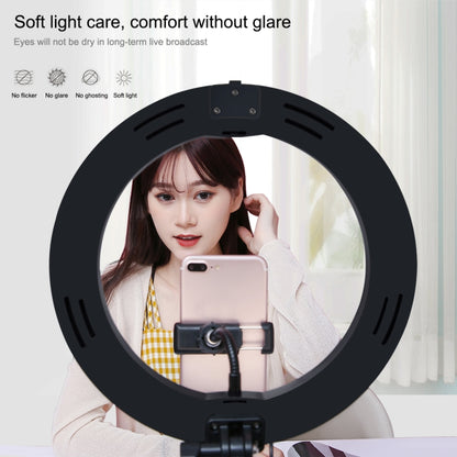 PULUZ 10.2 นิ้ว 26 ซม. USB 3 โหมดหรี่แสงได้อุณหภูมิสีแบบ Dual LED แหวนโค้งวิดีโอบล็อกเซลฟีการถ่ายภาพวิดีโอไฟพร้อม Bluetooth รีโมทชัตเตอร์และที่วางสก์ท็อปแบบพับได้และที่หนีบโทรศัพท์