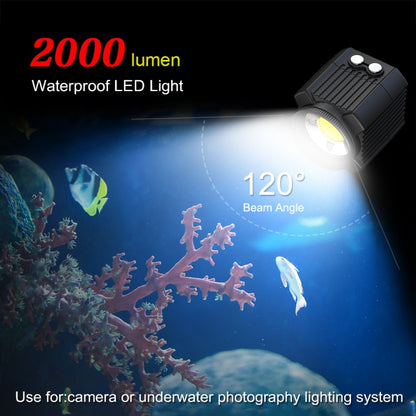 PULUZ 60 เมตรใต้น้ำ LED การถ่ายภาพเติมแสง 7.4 โวลต์ / 1100 มิลลิแอมป์ชั่วโมงดำน้ำแสงสำหรับ GoPro Hero11 ดำ / HERO10 ดำ / HERO9 ดำ / HERO8 / HERO7 / 6/5/5 เซสชัน / 4 เซสชัน / 4/3 + / 3/2/1, Insta360ONE R, DJI Osmo Action และกล้องแอคชั่นอื่นๆ, 7.4V/1100mAh