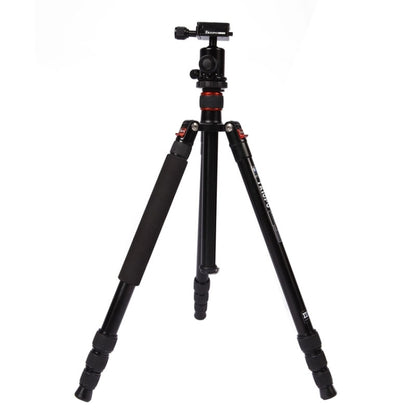 Triopo MT-2504C อลูมิเนียมแบบพกพาปรับได้ขาตั้งกล้อง NB-1S Ball Head สำหรับ Canon Nikon Sony DSLR กล้อง, MT-2504C (Black), MT-2504C (Gold)