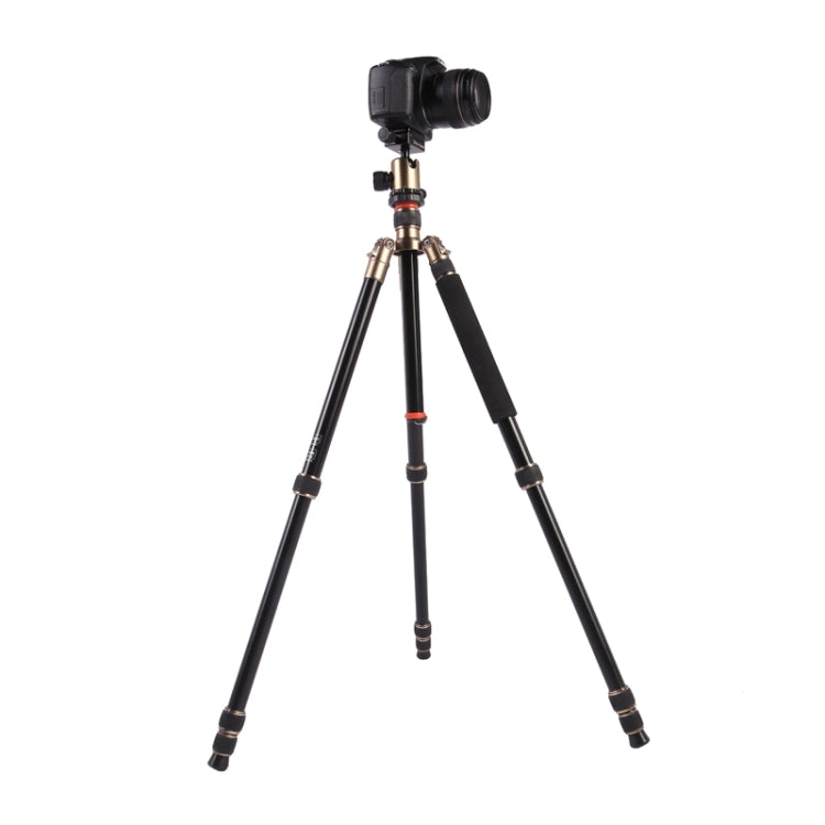 Triopo MT-2504C อลูมิเนียมแบบพกพาปรับได้ขาตั้งกล้อง NB-1S Ball Head สำหรับ Canon Nikon Sony DSLR กล้อง, MT-2504C (Black), MT-2504C (Gold)