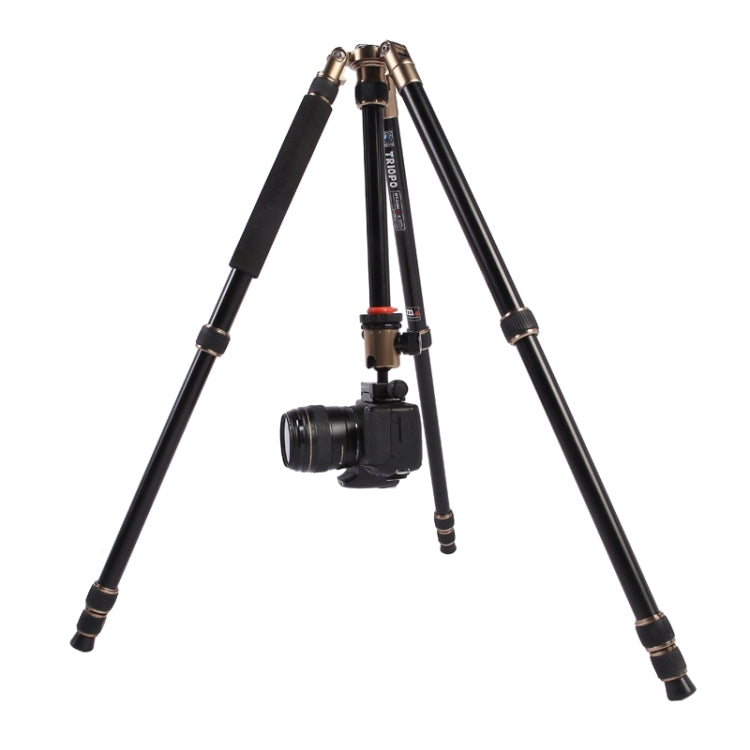 Triopo MT-2504C อลูมิเนียมแบบพกพาปรับได้ขาตั้งกล้อง NB-1S Ball Head สำหรับ Canon Nikon Sony DSLR กล้อง, MT-2504C (Black), MT-2504C (Gold)