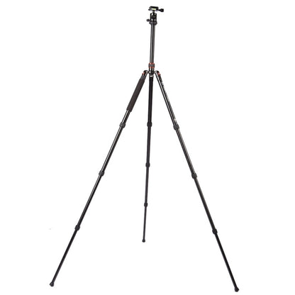 Triopo MT-2504C อลูมิเนียมแบบพกพาปรับได้ขาตั้งกล้อง NB-1S Ball Head สำหรับ Canon Nikon Sony DSLR กล้อง, MT-2504C (Black), MT-2504C (Gold)