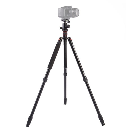 Triopo MT-2504C อลูมิเนียมแบบพกพาปรับได้ขาตั้งกล้อง NB-1S Ball Head สำหรับ Canon Nikon Sony DSLR กล้อง, MT-2504C (Black), MT-2504C (Gold)