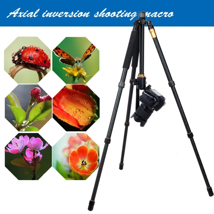 ZOMEI Z688 แบบพกพา Professional Travel วัสดุแมกนีเซียมอัลลอยด์ขาตั้งกล้อง Monopod พร้อมหัวลูกสำหรับกล้องดิจิตอล, Z688
