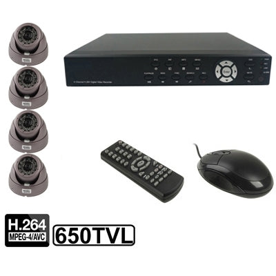 ชุดเครื่องบันทึกวิดีโอดิจิตอลแบบฝัง 4-CH (1 / 3 Sony CCD, 650TVL, 24 x IR LED, เลนส์ 6 มม., ระยะ IR: 25 ม., H.264 (8204EV+622A), 8204EV+622A, 1 / 3 Sony CCD, 650TVL