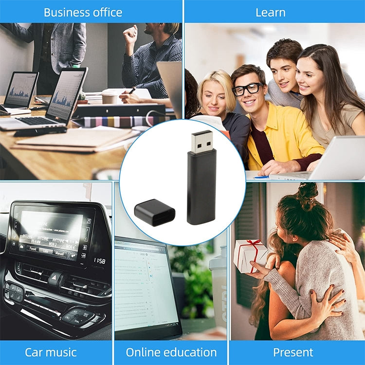 แฟลชดิสก์ Business Series USB 2.0, สีเทา, 2GB, 4GB, 8GB, 16GB