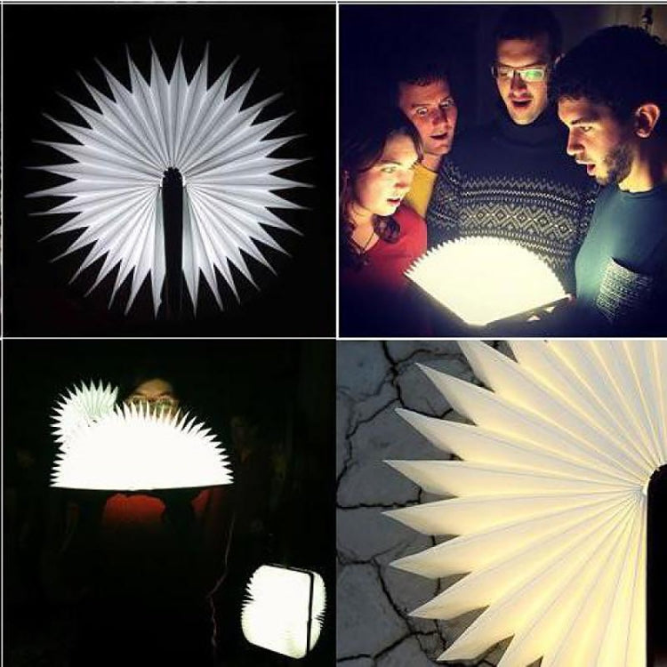 FS-LED01 500 ลูเมน, wooden Material