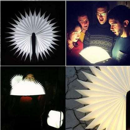 FS-LED01 500 ลูเมน, wooden Material