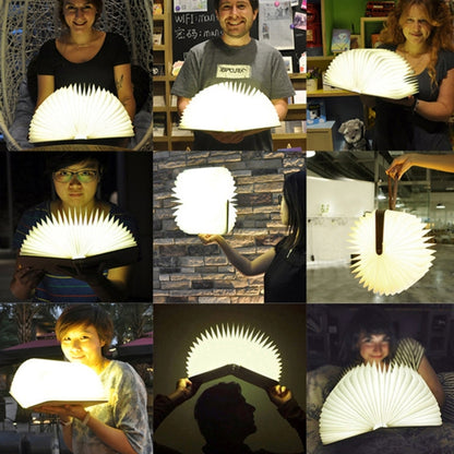 FS-LED01 500 ลูเมน, wooden Material