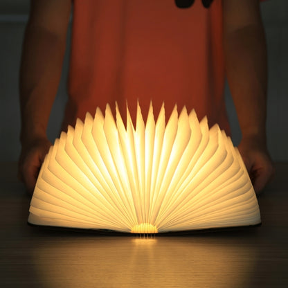 FS-LED01 500 ลูเมน, wooden Material