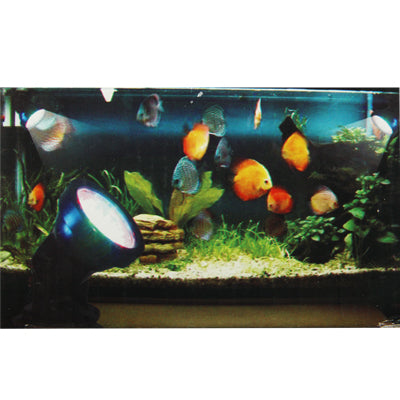 ตู้ปลาสะเทินน้ำสะเทินบก LED 36 ดวง / ไฟหลากสีสันในตู้ปลา กันน้ำลึก: 1-1.5 ม