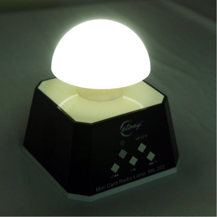 CT-0019 ลำโพงมีไฟ LED หลายดวง พร้อมวิทยุ FM รองรับการ์ด TF