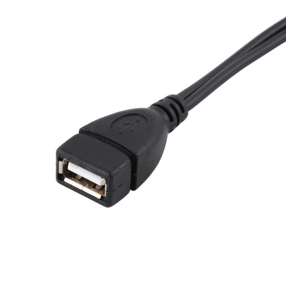สาย USB 2.0 AF ถึง Micro-B + USB 2.0 OTG สำหรับ Samsung Galaxy Note III / N9000 พร้อม Power ความยาว: 24 ซม. (สีดำ)