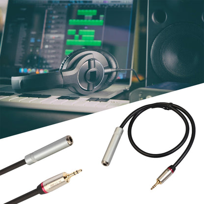 REXLIS TC128MF สายเคเบิลอะแดปเตอร์เสียงชาย 3.5 มม. ถึงหญิง 6.5 มม. ความยาว: 30 ซม.