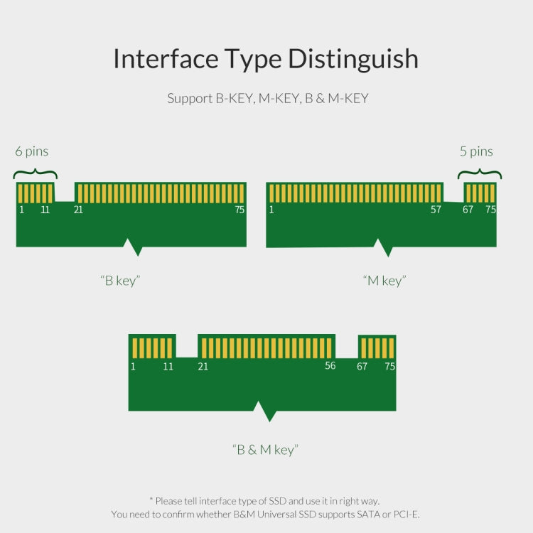 ORICO PDM2 M.2 NVME เป็นการ์ดเอ็กซ์แพนชัน PCI-E 3.0 X4
