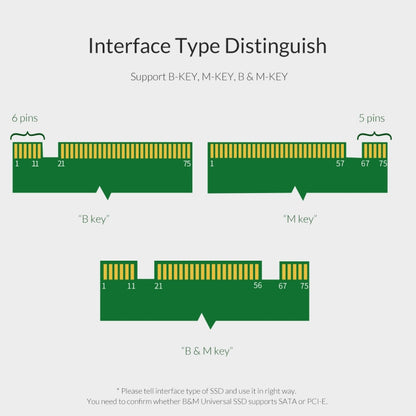 ORICO PDM2 M.2 NVME เป็นการ์ดเอ็กซ์แพนชัน PCI-E 3.0 X4