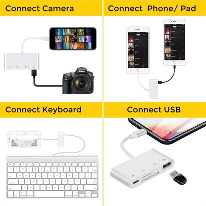 ZS-S1827 การ์ด SD 4 ใน 1 การ์ด TF การชาร์จ 8 พิน อินเตอร์เฟส USB ถึง 8 พินอินเตอร์เฟสกล้องอะแดปเตอร์อ่านรองรับระบบ iOS ทั้งหมด