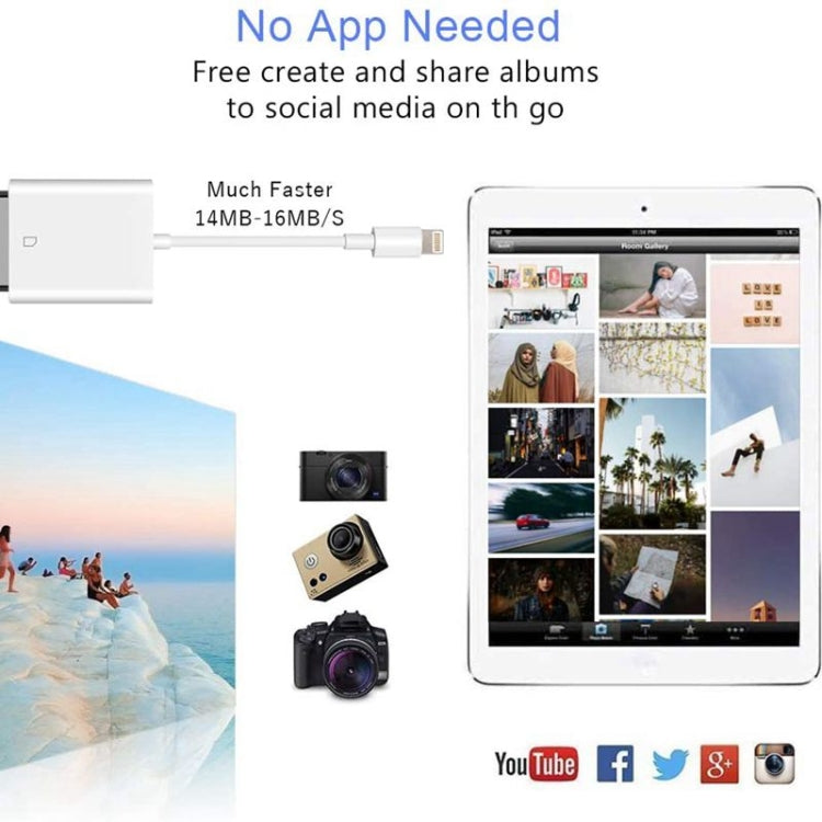 ZS-KL21810 8 Pin to SD Card Camera Card Reader Adapter รองรับระบบ iOS ทั้งหมด, SD Card Slot