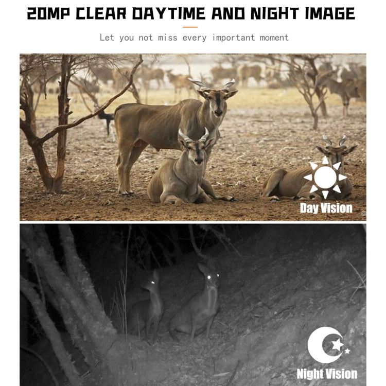 PR700 1080P กล้องล่าสัตว์สัตว์ป่า Motion เปิดใช้งาน Night Vision กล้องวิดีโอสำหรับการติดตามกลางแจ้ง Scan Trigger, PR700