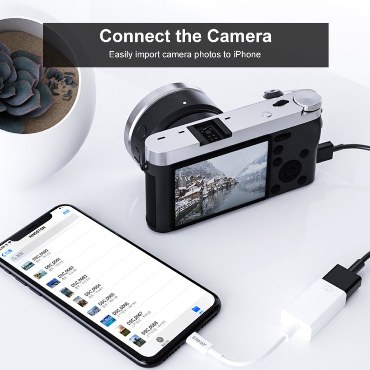 ENKAY ENK-AT108 8 Pin to USB 3.0 OTG Adapter Data Cable สำหรับ iPhone / iPad