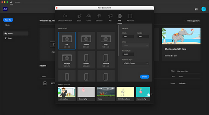 Adobe Animate 2024 Full Version for Windows
