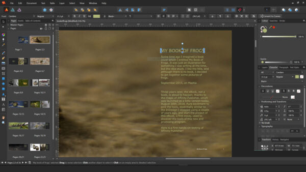 Serif Affinity Publisher 2021 Final for Windows