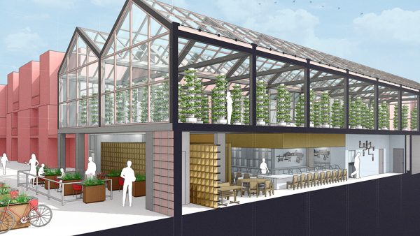 SketchUp Pro 2021 Final Full Version for Windows