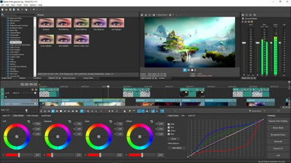 Sony VEGAS Pro 17 Final for Windows