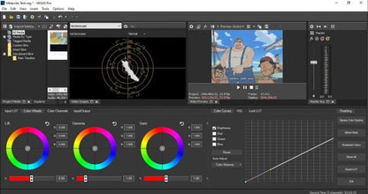 Sony Vegas Pro v18 (2020) Final for Windows
