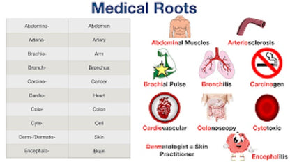 Stedman's Electronic Medical Dictionary v7.0 Full Version for Windows