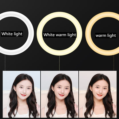 HQ-21N 21 นิ้ว 52.5 ซม. LED Ring Vlogging การถ่ายภาพชุดไฟวิดีโอพร้อมรีโมทคอนโทรลและที่หนีบโทรศัพท์และ 2.1 ม. ขาตั้งกล้อง, ปลั๊ก EU, 21 inch