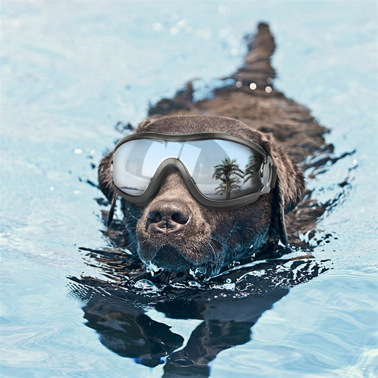 แว่นตาสัตว์เลี้ยง Big Dog Goggles กันน้ำกันลมครีมกันแดด UV Protection, Sunscreen UV Glasses