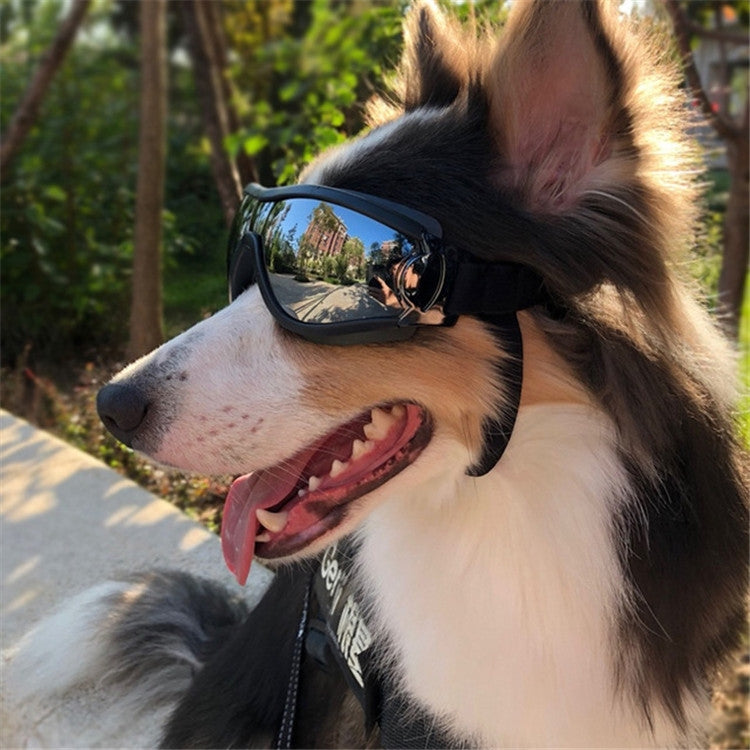 แว่นตาสัตว์เลี้ยง Big Dog Goggles กันน้ำกันลมครีมกันแดด UV Protection, Sunscreen UV Glasses