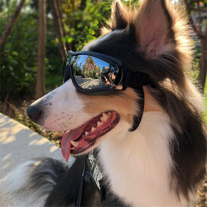 แว่นตาสัตว์เลี้ยง Big Dog Goggles กันน้ำกันลมครีมกันแดด UV Protection, Sunscreen UV Glasses