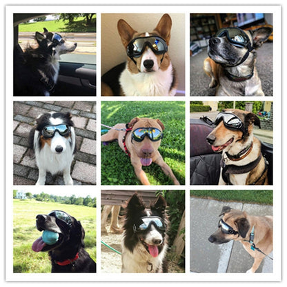 แว่นตาสัตว์เลี้ยง Big Dog Goggles กันน้ำกันลมครีมกันแดด UV Protection, Sunscreen UV Glasses
