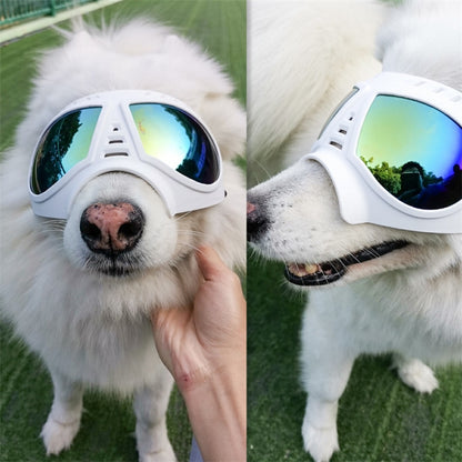 หน้ากากสัตว์เลี้ยงแว่นตากันน้ำและ Snowproof กรอบแว่นตาสุนัขอุปกรณ์แว่นตากันแดด