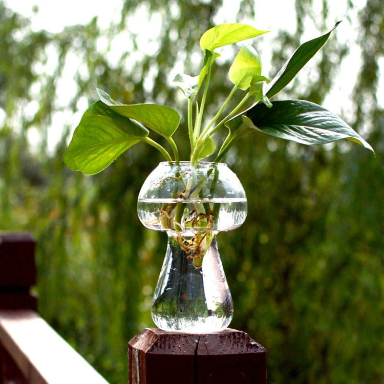 เห็ดรูปแจกันแก้ว Terrarium ขวดคอนเทนเนอร์ดอกไม้ตกแต่งบ้าน
