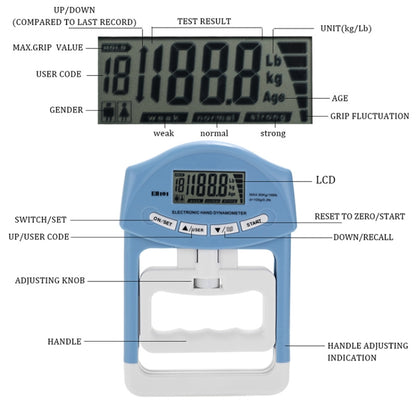 EH101 เครื่องวัดกระแสไฟฟ้าแบบ Arm Strength เหมาะสำหรับการฝึกกีฬา, EH101 Arm Strength Dynamometer