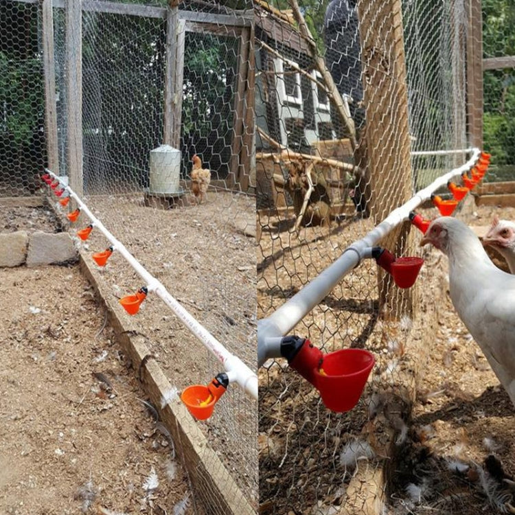 อุปกรณ์ Vreeding แบบปรับได้ประเภทการส่งออกชามดื่มเครื่องดื่มสัตว์ปีก, Drinking Bowl Poultry Drinker