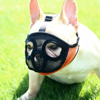หน้ากากคลุมปากสำหรับสัตว์เลี้ยง Bulldog อุปกรณ์สำหรับสัตว์เลี้ยง Version เวอร์ชันฝาครอบสุทธิแบบเต็ม, XXS, XS, S, M, L