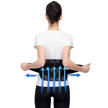 WOOTSHU WT-Y81 Breathable Lumbar Spine แผ่นเหล็ก Lumbar Disc เอวการบีบอัดคู่ความเครียดเอว Protector, XL