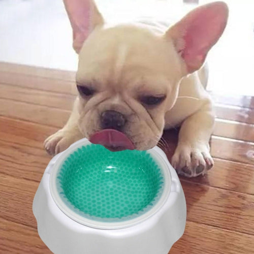 สัตว์เลี้ยงชามอาหารเย็นความเร็วความเย็นชามอาหาร, Speed Cold Bowl