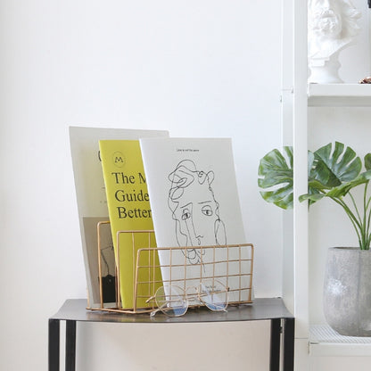 Wrought Iron Desktop Storage Rack ชั้นวางนิตยสาร