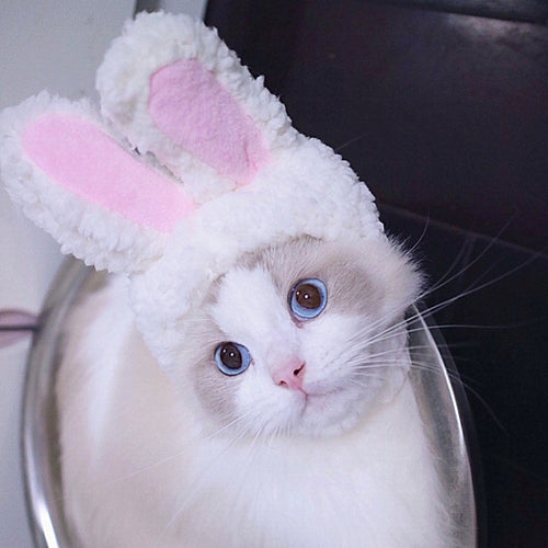 หมวกสัตว์เลี้ยงหูกระต่ายน่ารักแมวสัตว์เลี้ยง, Lovely Rabbit Ear Headgear