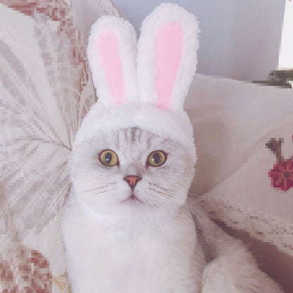 หมวกสัตว์เลี้ยงหูกระต่ายน่ารักแมวสัตว์เลี้ยง, Lovely Rabbit Ear Headgear